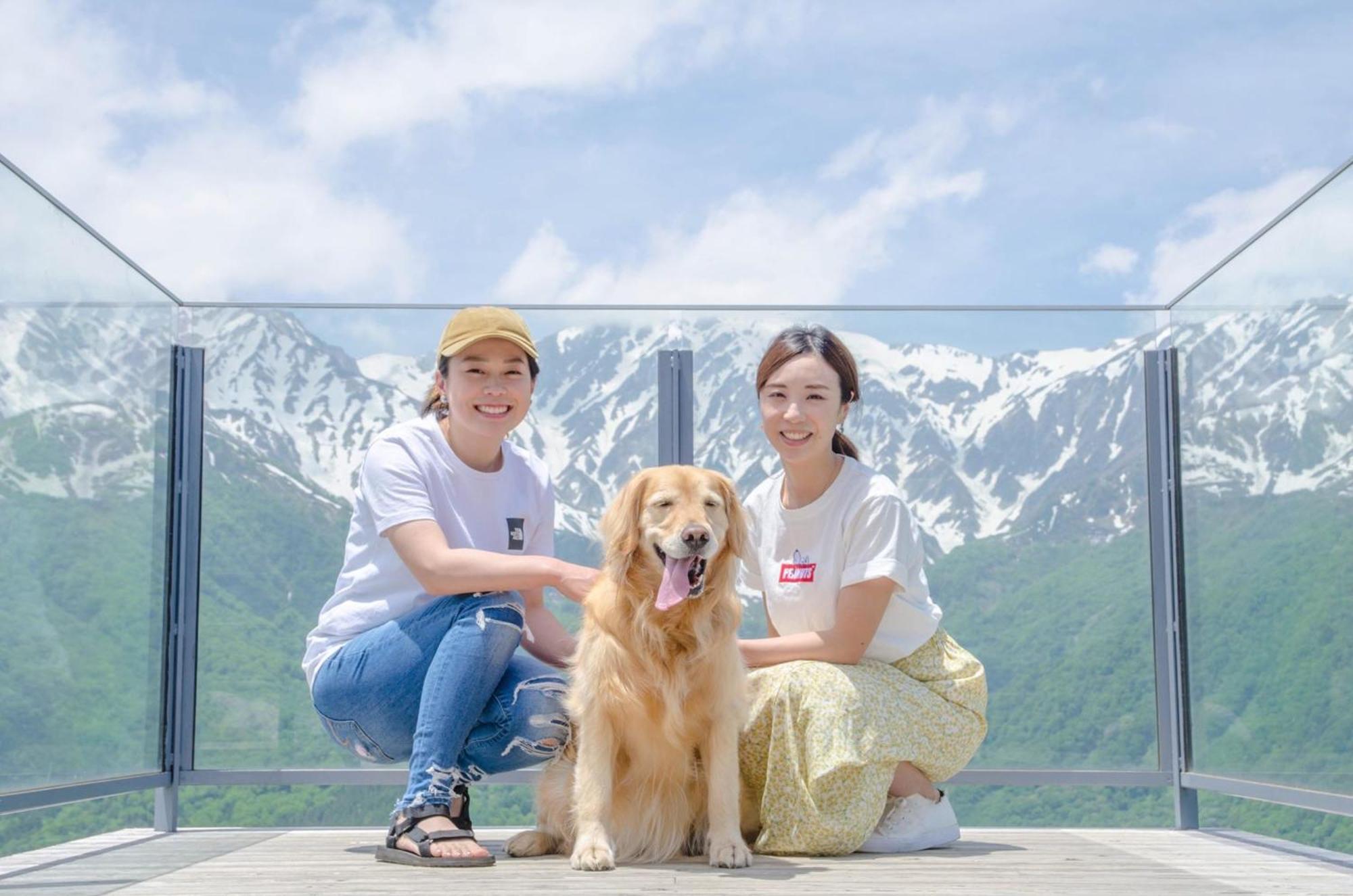 白马村白马旅笼丸八旅馆公寓 外观 照片
