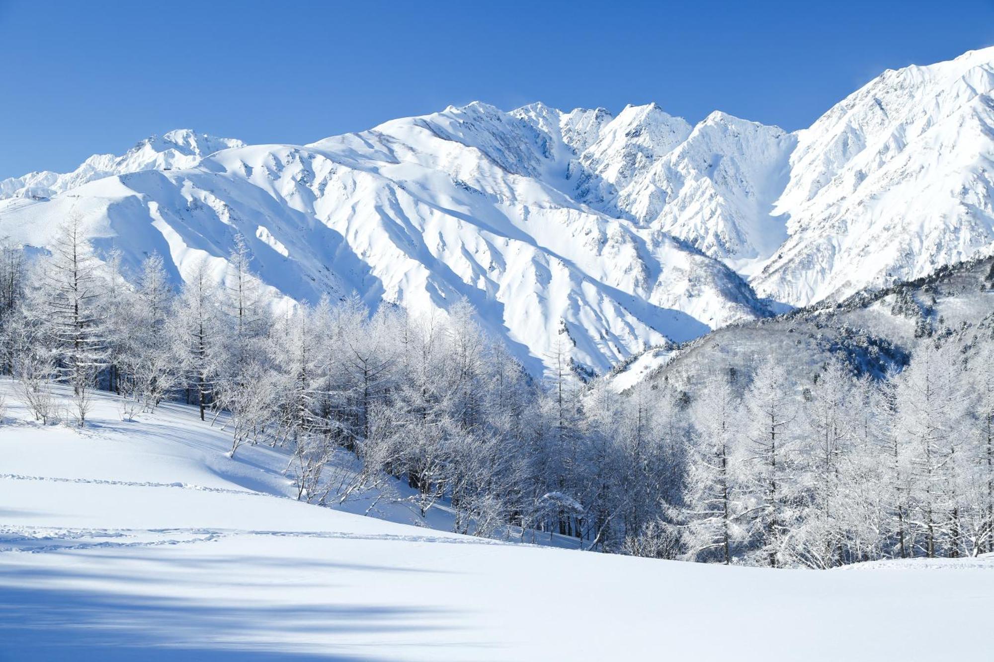 白马村白马旅笼丸八旅馆公寓 外观 照片